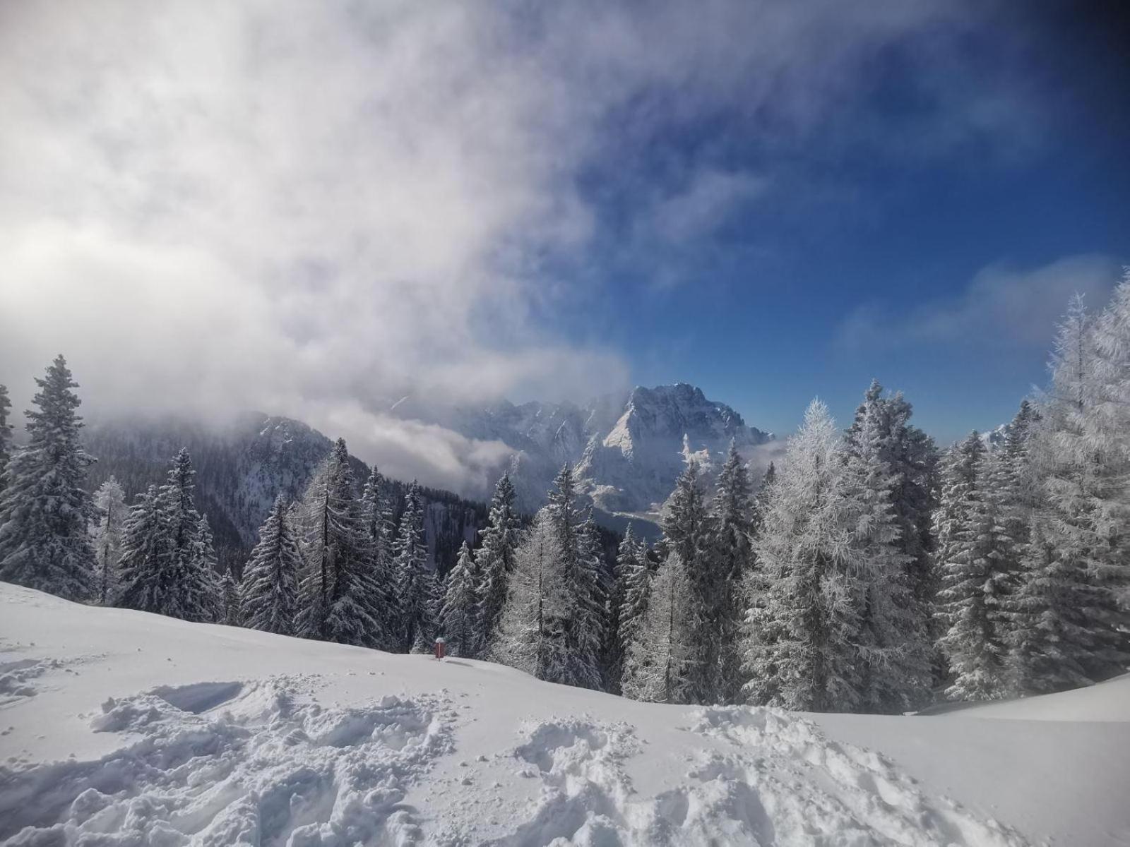 Al Casello Tarvisio Extérieur photo